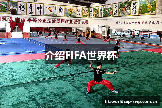 介绍FIFA世界杯
